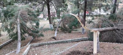 Следи от бурята 18.11.2023 - ПГТО Дочо Михайлов - Тервел